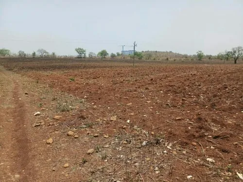 Resale agriculture land, Wardha