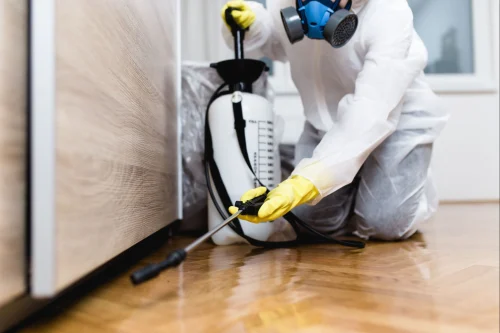 Residential Household Pest Control Services