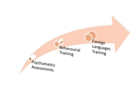 Soft Skills Tra