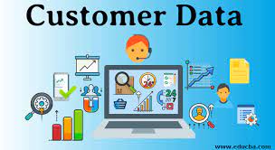 Customer Database Service