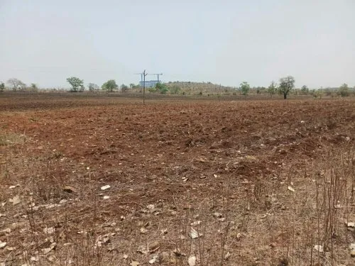 Resale agriculture land, Wardha