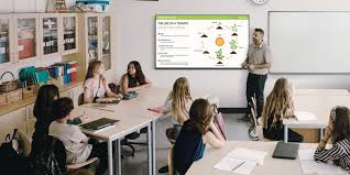 School Digital Smart Interactive Board, Smart Classes Setup & Services