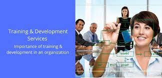 Training & Development