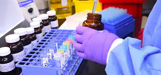 Laboratory Testing Services