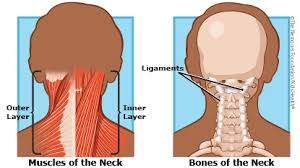 Neck Pain