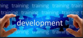 Training & Development