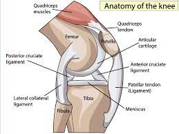 Knee Injuries