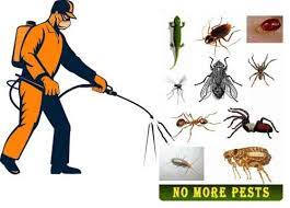  Pest Control Services